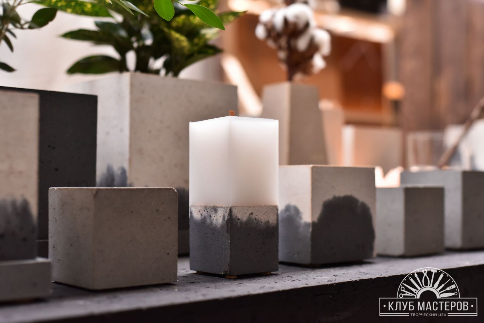 Канапа Маркет