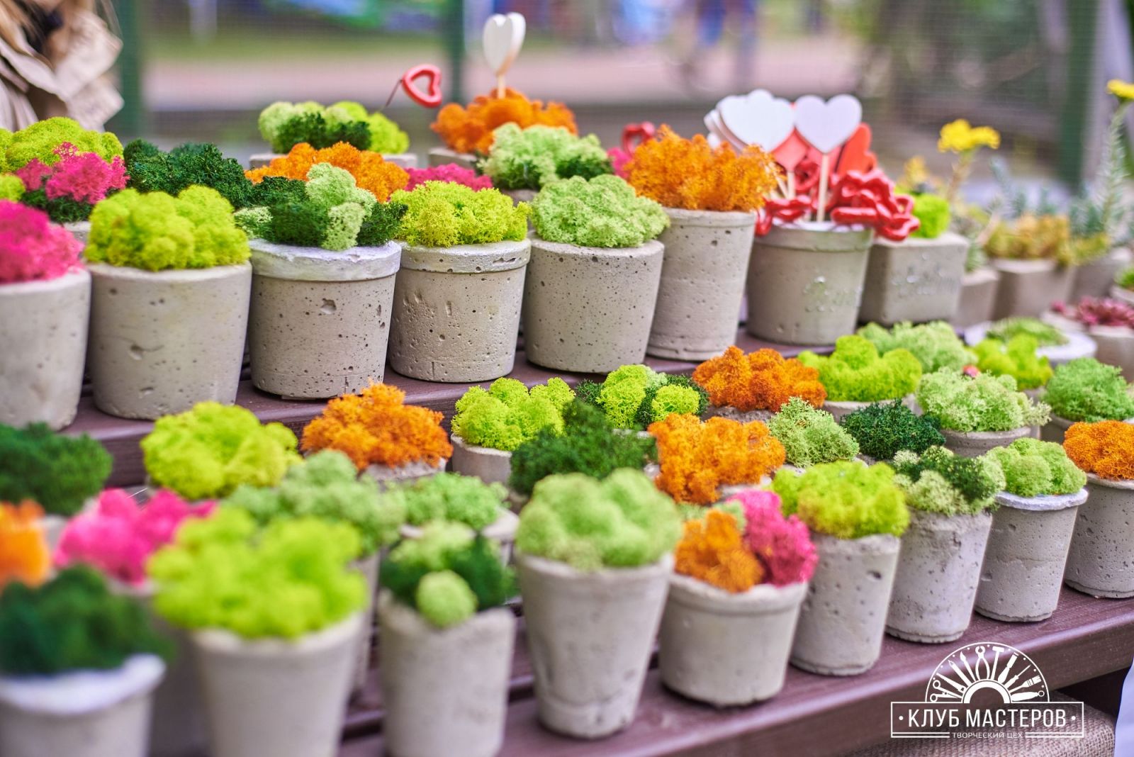 Пастернак в дримлэнде